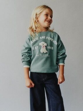 ZARA TERRY PATCH SWEATSHIRT